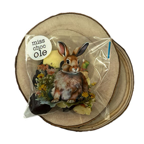 BOLSITA CON CHOCOLATE 50 g