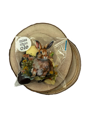 BOLSITA CON CHOCOLATE 50 g